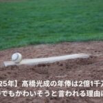 高橋光成　年俸