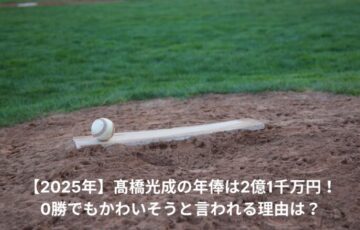 高橋光成　年俸