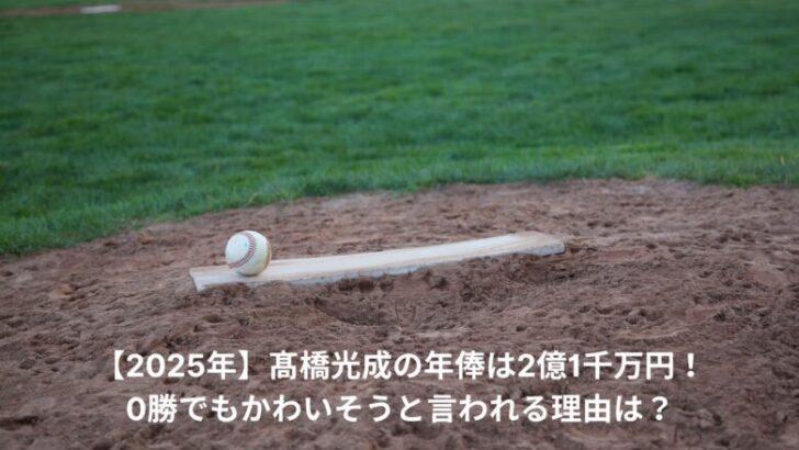 高橋光成　年俸