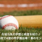 石垣元気