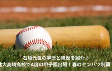 石垣元気