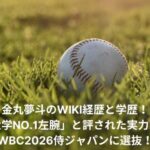 yumeto-kanemaru-wiki