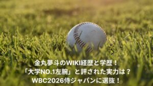yumeto-kanemaru-wiki