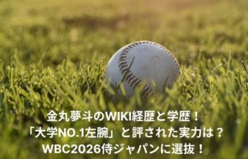 yumeto-kanemaru-wiki