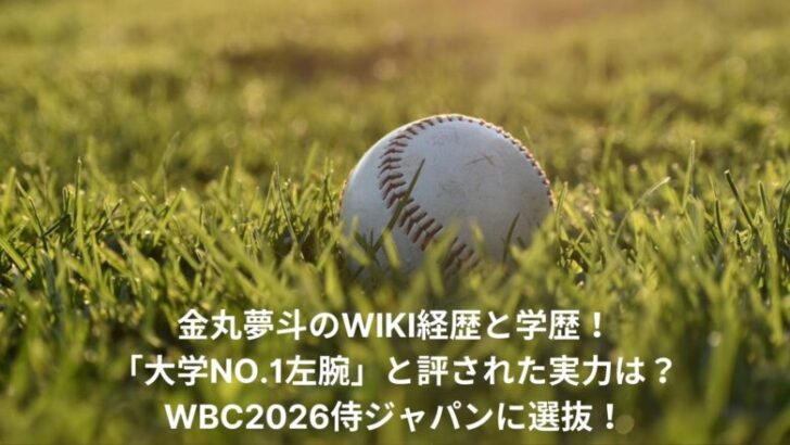 yumeto-kanemaru-wiki
