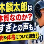rintaro-sasaki-fat