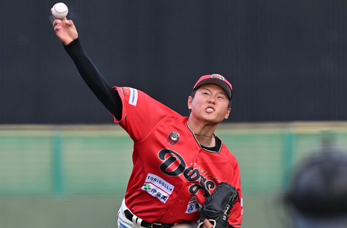 naoki-wakamatsu-wiki