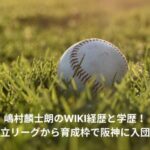 rinshiro-shimamura-wiki