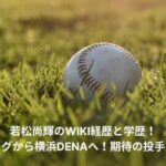 naoki-wakamatsu-wiki