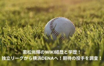 naoki-wakamatsu-wiki