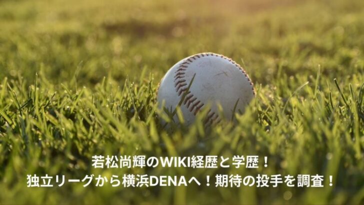 naoki-wakamatsu-wiki