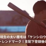 rui-mitsuka